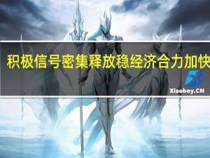 积极信号密集释放 稳经济合力加快汇聚