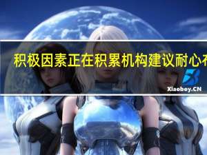 积极因素正在积累 机构建议耐心布局