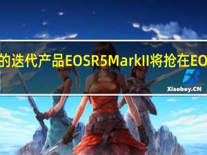 称佳能EOSR5的迭代产品EOSR5MarkII将抢在EOSR1之前先一步发布