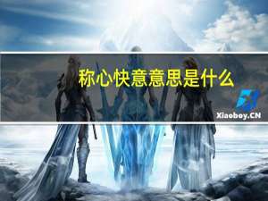 称心快意意思是什么