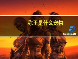 称王是什么宠物