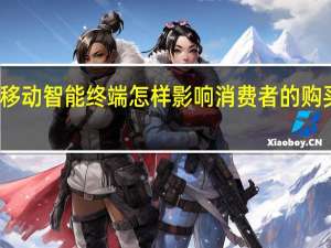 移动智能终端怎样影响消费者的购买决策