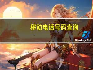 移动电话号码查询（移动电话）