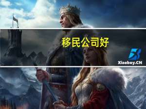 移民公司好