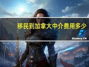 移民到加拿大中介费用多少