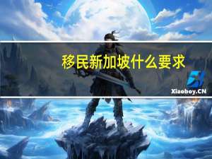 移民新加坡什么要求