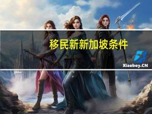移民新新加坡条件