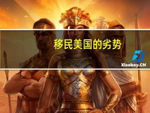 移民美国的劣势