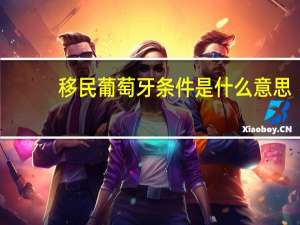 移民葡萄牙条件是什么意思
