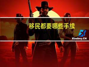 移民都要哪些手续