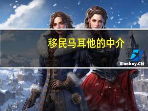 移民马耳他的中介