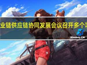 稀土产业链供应链协同发展会议召开 多个项目集中签约