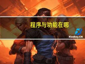 程序与功能在哪