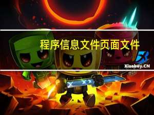 程序信息文件页面文件