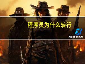 程序员为什么转行