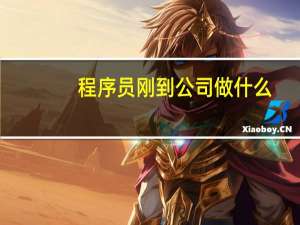 程序员刚到公司做什么