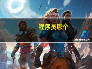 程序员哪个