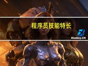 程序员技能特长