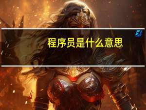程序员是什么意思