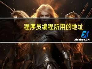 程序员编程所用的地址