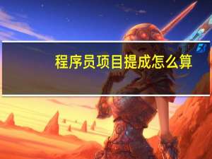 程序员项目提成怎么算