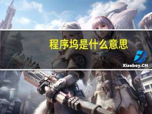程序坞是什么意思