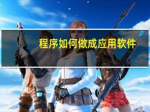 程序如何做成应用软件