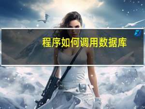程序如何调用数据库
