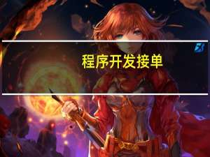 程序开发接单
