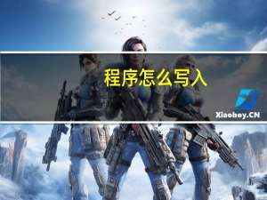 程序怎么写入