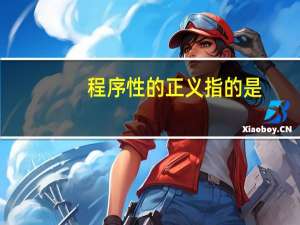 程序性的正义指的是