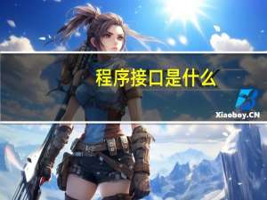程序接口是什么