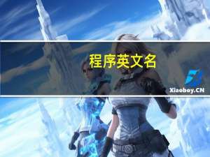 程序英文名
