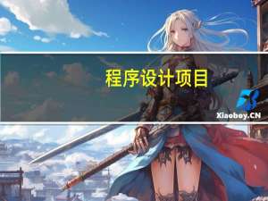 程序设计项目