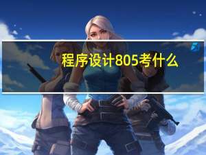 程序设计805考什么