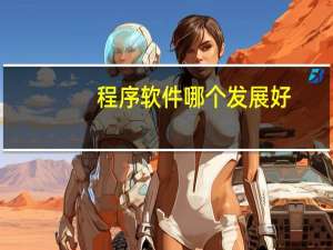 程序软件哪个发展好