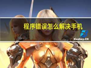 程序错误怎么解决手机