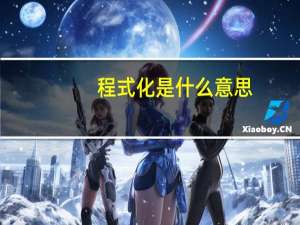 程式化是什么意思