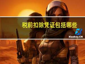 税前扣除凭证包括哪些