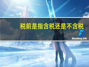 税前是指含税还是不含税