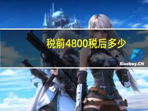 税前4800税后多少