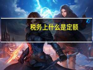 税务上什么是定额