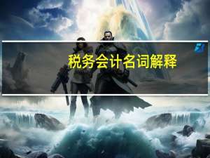 税务会计名词解释