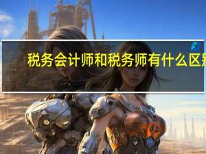 税务会计师和税务师有什么区别