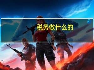 税务 做什么的