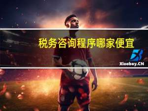 税务咨询程序哪家便宜