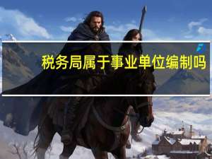 税务局属于事业单位编制吗