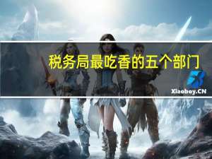 税务局最吃香的五个部门