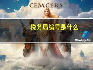 税务局编号是什么