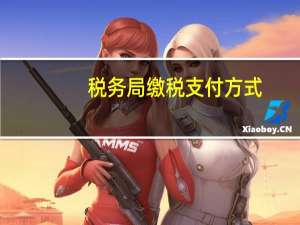 税务局缴税支付方式